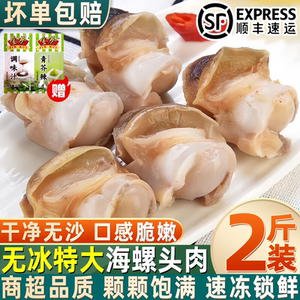 丹东特大冷冻海螺头肉商用批发