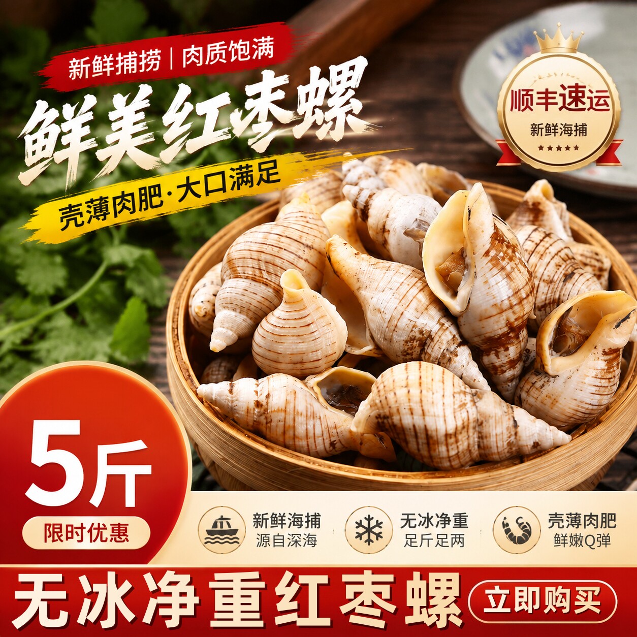 鲜冻贝贝螺海瓜子螺红枣螺