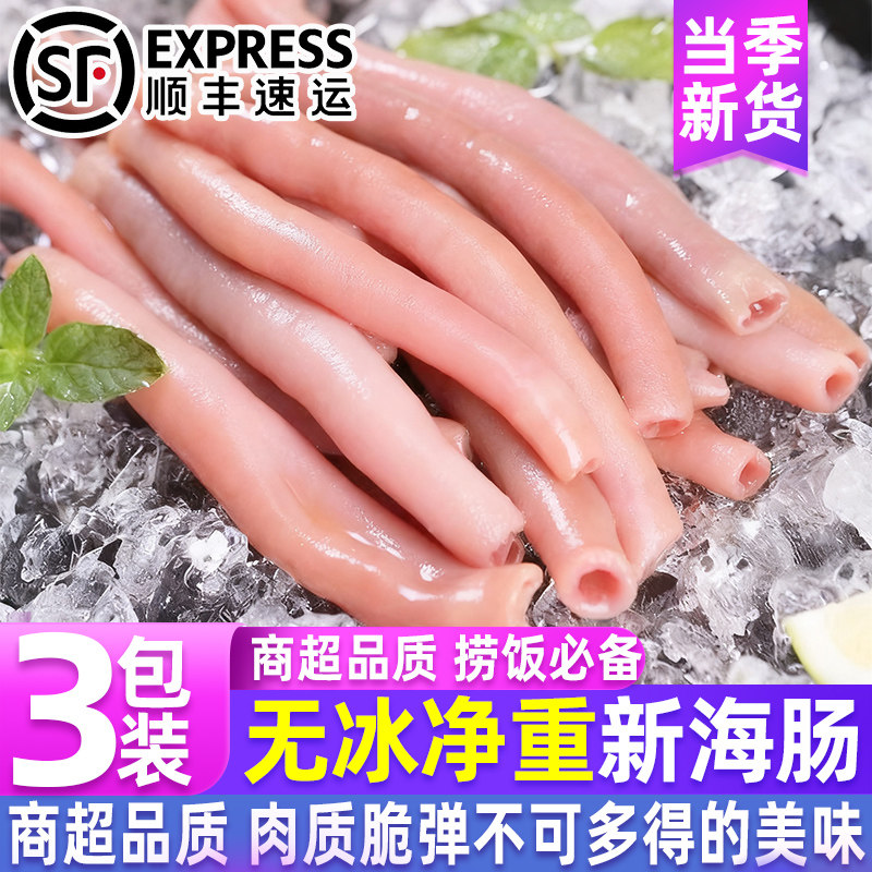 海肠新鲜冷冻商用批发