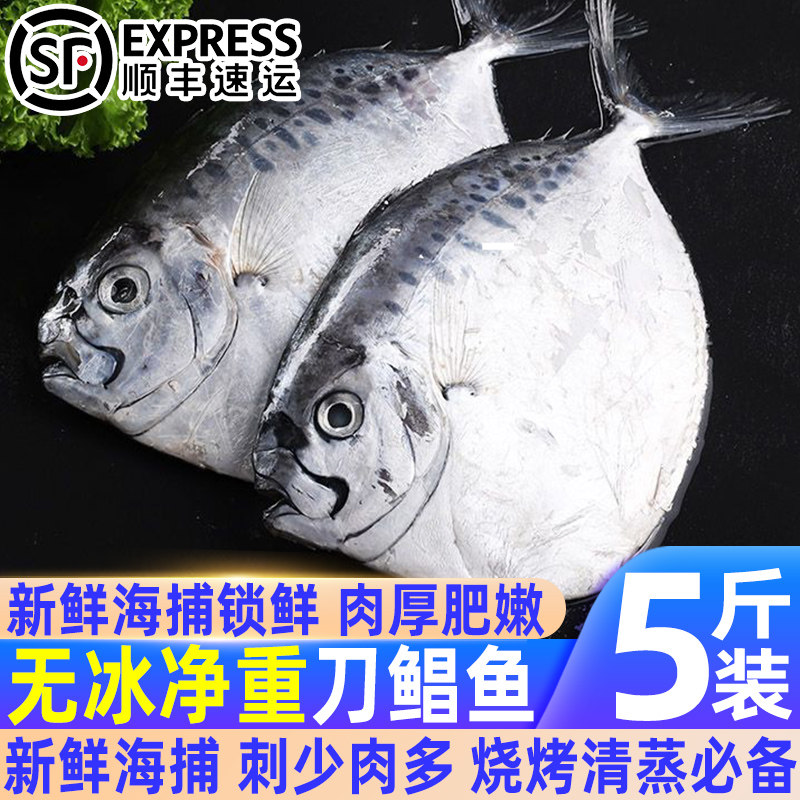 深海刀鲳鱼新鲜冷冻鲳鱼海捕东海平鱼国产海鲜水产海鱼批发一整箱