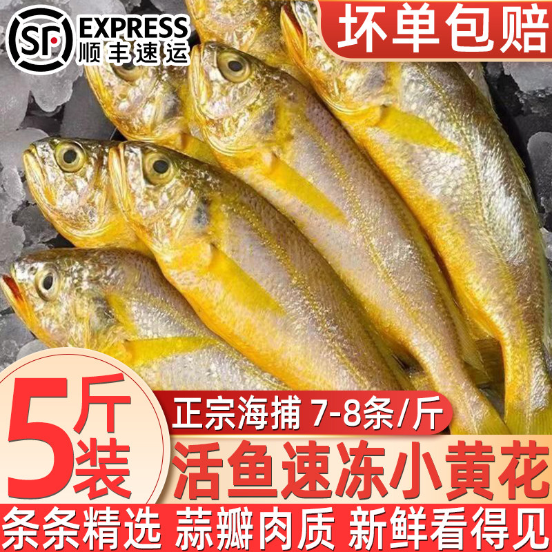 新鲜冷冻小黄花鱼新鲜鲜活速冻黄鱼海捕黄花鱼海鲜水产整箱批发