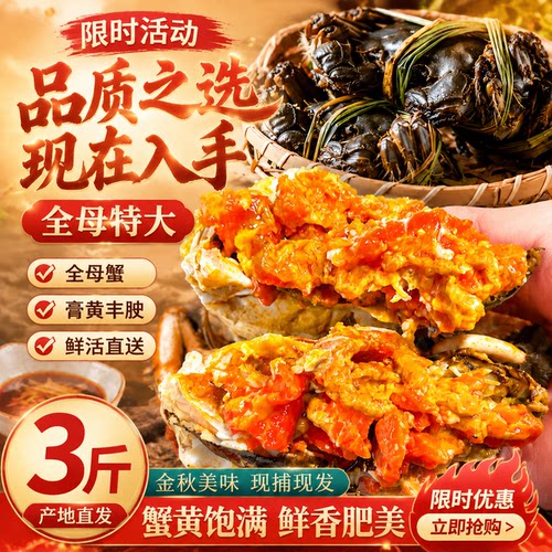 全母蟹盘锦河蟹大闸蟹