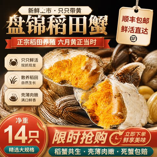 盘锦六月黄螃蟹鲜活大闸蟹礼盒净重死蟹包赔顺丰包邮河蟹水产批发