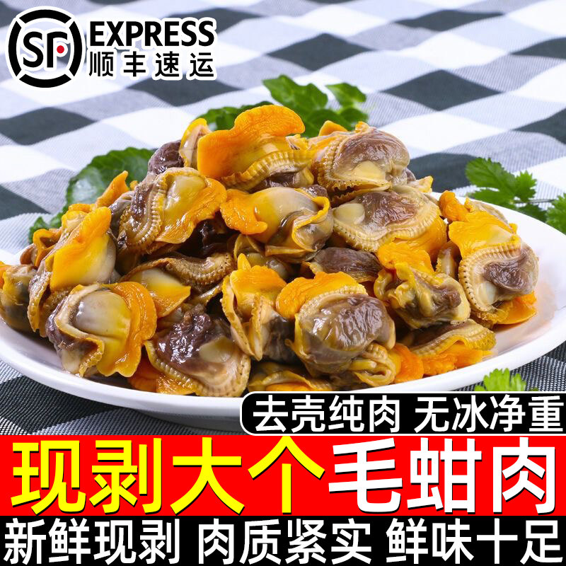 新鲜速冻毛蛤肉血蛤肉海货无沙毛蚬子肉雪蛤肉海蛤蜊肉无冰净重