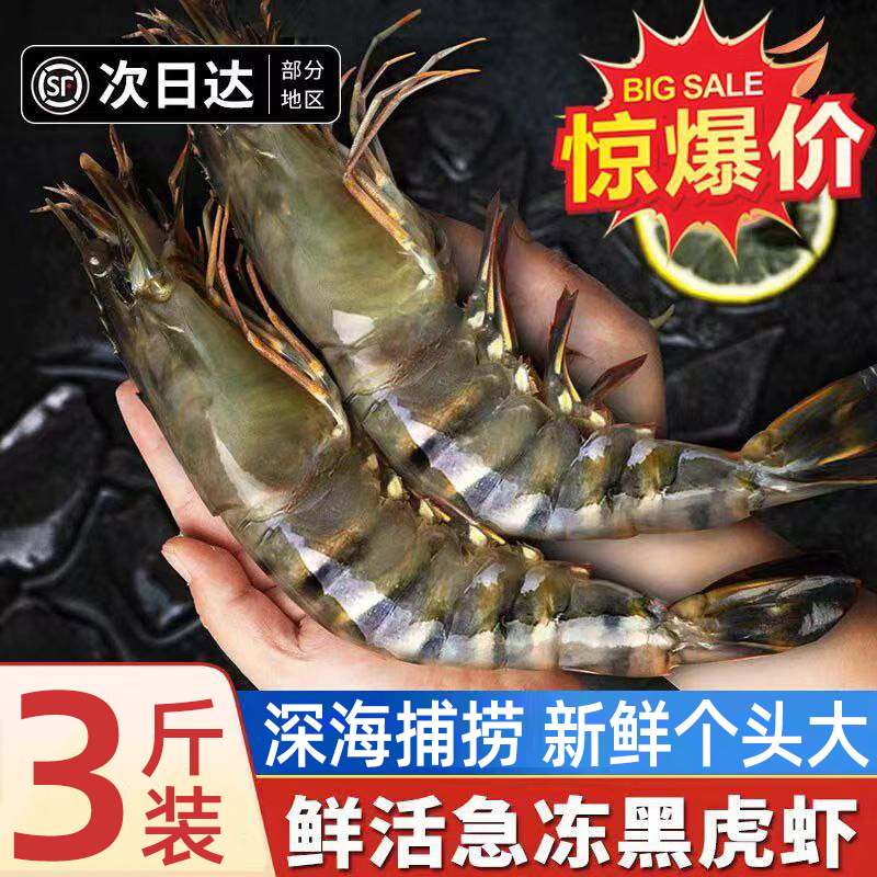 黑虎虾鲜活大个速冻老虎虾新鲜海虾鲜活冷冻虾类海虾水产净重3斤