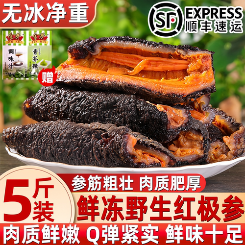 北极红参鲜冻海捕顺丰包邮