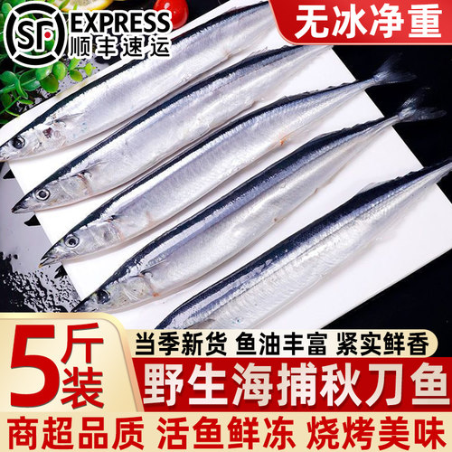 野生海捕鲜冻大号秋刀鱼