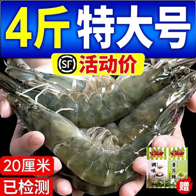 特大青岛大虾鲜活回头客超多