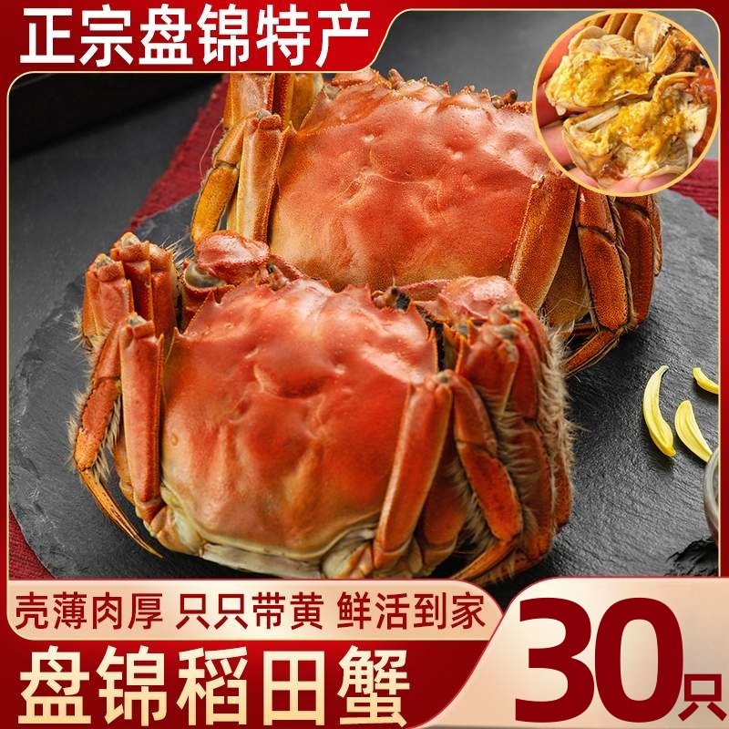 30只正宗盘锦河蟹大闸蟹礼盒装