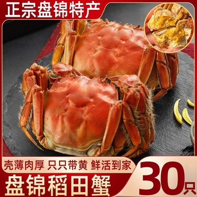 30只正宗盘锦河蟹大闸蟹礼盒装