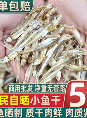 海燕鱼干小鱼干小鱼仔毛毛鱼干