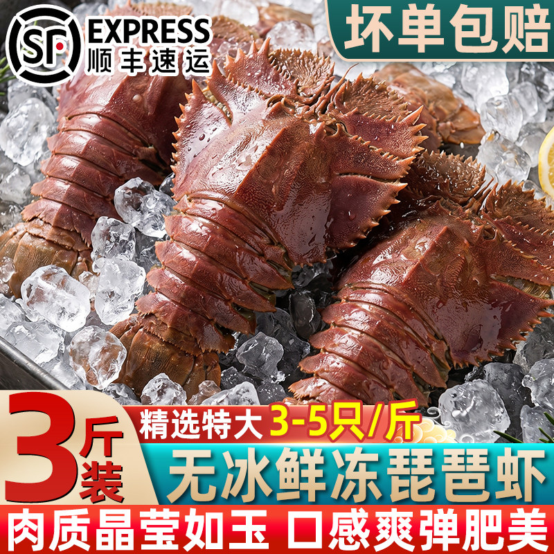 无冰鲜活速冻特大琵琶虾刺身