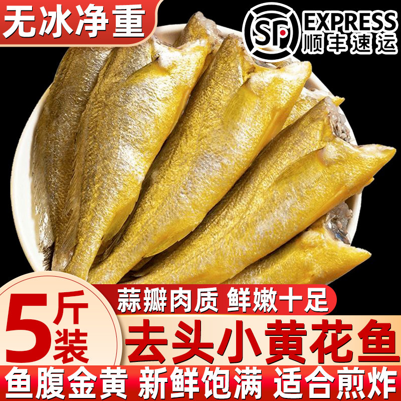 无冰去头小黄鱼冷冻烧烤食材
