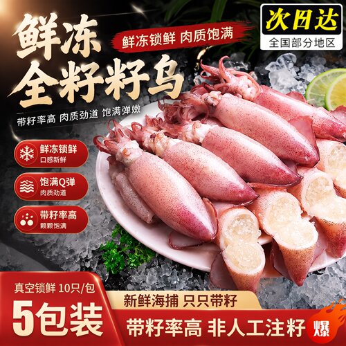 鲜冻满籽鱿鱼海鲜火锅食材顺丰