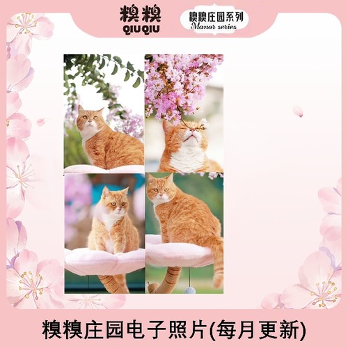 糗糗-庄园猫猫电子照片（20张）