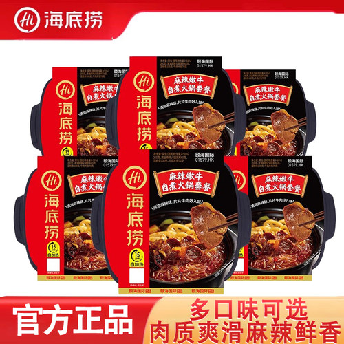 海底捞速食辣味豪华自热火锅