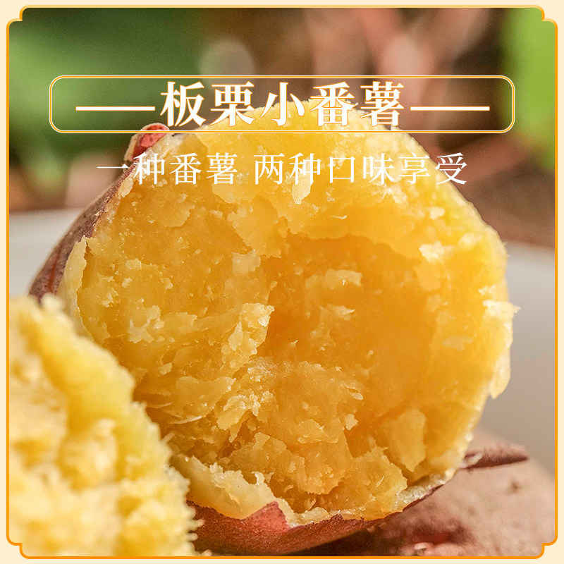 苗家圆圆板栗小番薯新鲜红薯紫薯香薯金手指中薯山芋蜜薯地瓜7斤