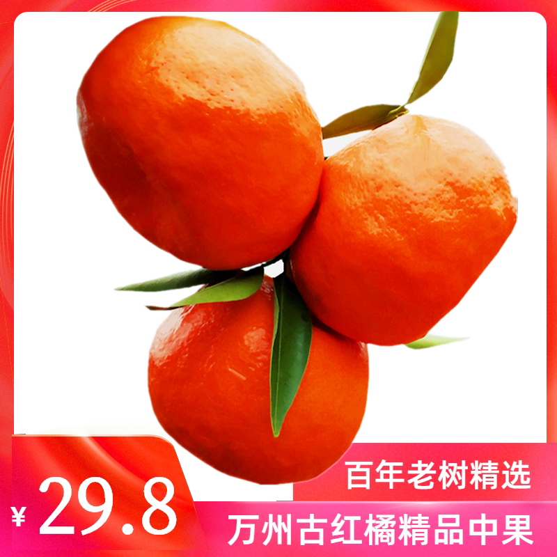 四川红橘陈皮大红袍柑万州古红桔重庆桔子陈允斌农家5中大果10斤