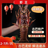 包邮 活冻古巴大龙虾 澳洲鲜活冷冻顺丰 水产海鲜大澳龙
