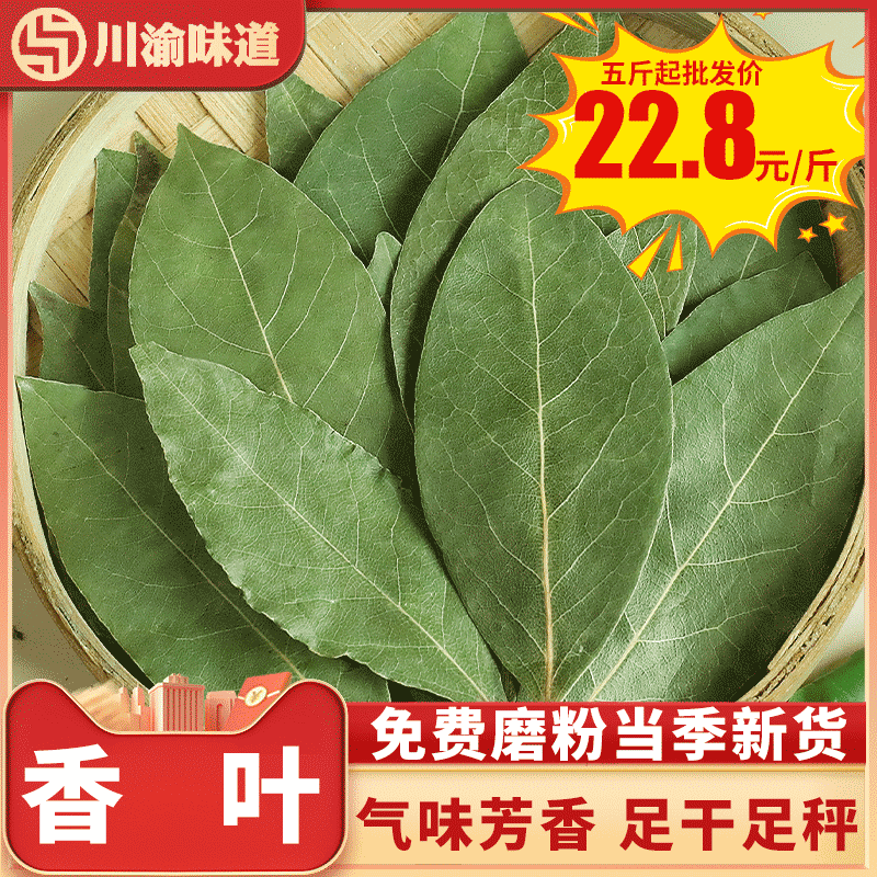 广西香叶个大色绿天然提味增香