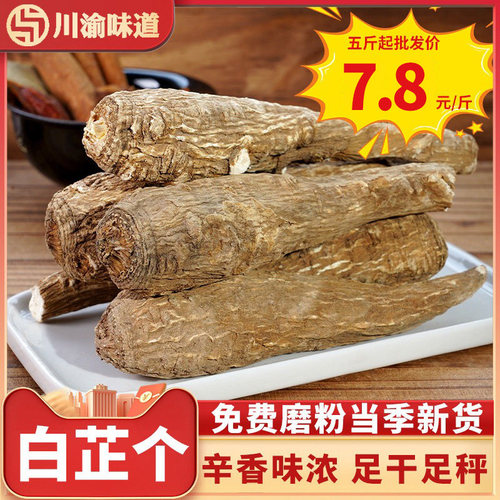 新货白芷个500g农家白芷根白止棒