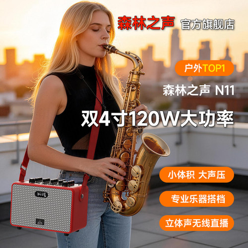 森林之声N11 户外吉他电吹管萨克斯乐器音响K歌无线蓝牙直播音箱