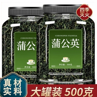 蒲公英茶官方旗舰店正品特级野生新鲜蒲公英中药材蒲公英根泡水喝
