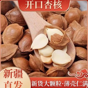 杏仁2025新货新疆开口杏仁500g手剥带壳熟小银杏坚果原味杏核零食