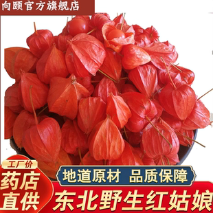 新货东北野生中药材红姑娘儿果山菇娘苦姑娘酸浆果锦灯笼干皮干果