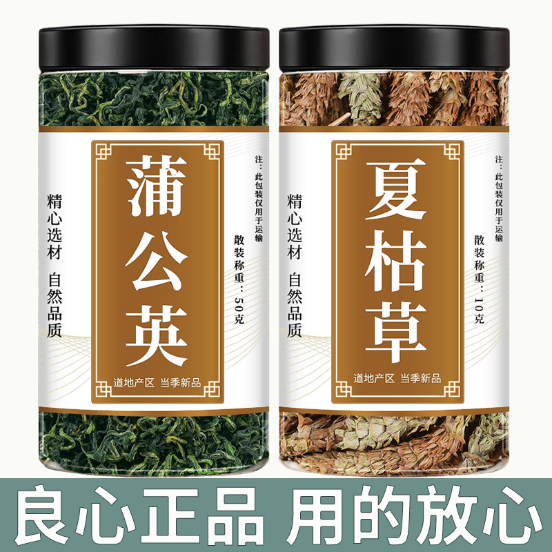 蒲公英和夏枯草中药材苦郁图片