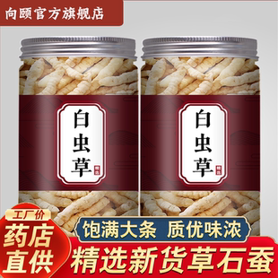 草石蚕500g克地蚕中药材土冬虫草白虫草泽兰根地参云南野生虫草参