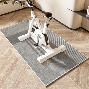 动感单车地垫跑步机垫子椭圆机防滑垫静音减震专用隔音地毯健身毯