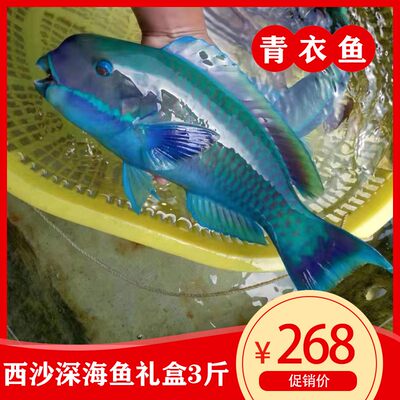 海之南西沙深海鱼礼盒青衣鱼 海鳗 彩衣鱼大礼包 3斤顺丰空运