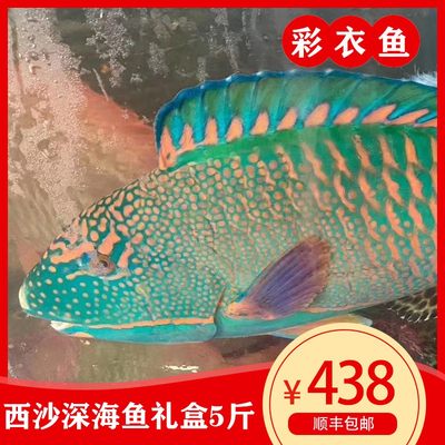 海之南西沙深海鱼礼盒青衣鱼 海鳗 彩衣鱼大礼包 5斤顺丰包邮