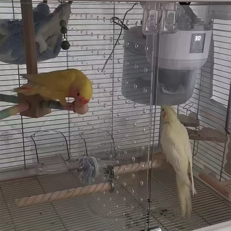 鸟笼隔离板达洋鸟笼B6045/B6001防鹦鹉打架隔板高透明亚克力隔板