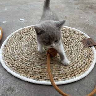 宠物用品猫窝猫爬垫剑麻猫抓板防潮垫自带逗猫球猫猫垫蒲草垫狗窝