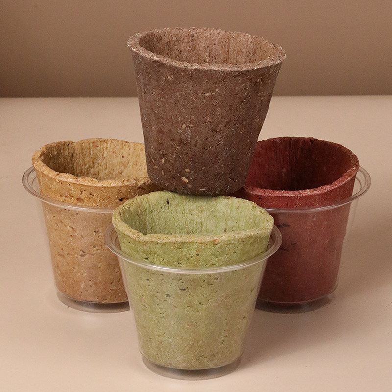 可以吃的黄油燕麦曲奇咖啡杯180ml创意杯子耐高温即刻出品文化节