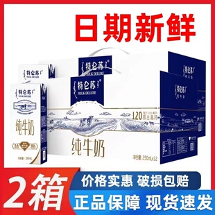 12盒整箱早餐送礼公司福利团购 新鲜日期蒙牛特仑苏纯牛奶250mL