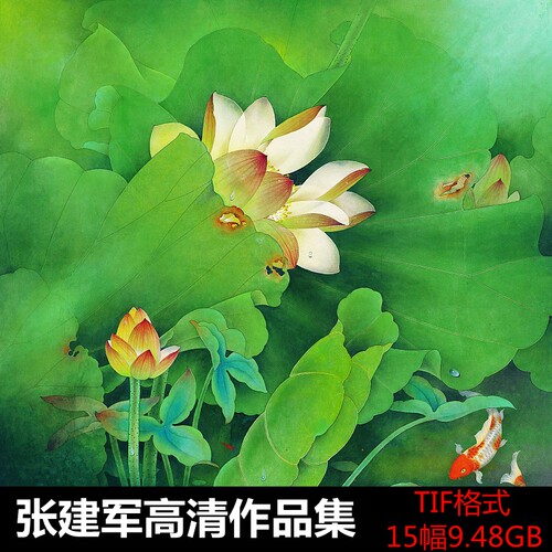 张建军/金丝孔雀扇面高清图片/荷花国画素材/牡丹国画图高清素材