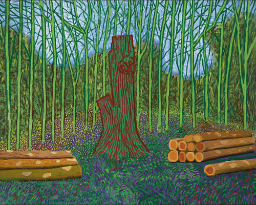 YC650【英国】大卫·霍克尼（David Hockney）绘画拼贴画电子图库