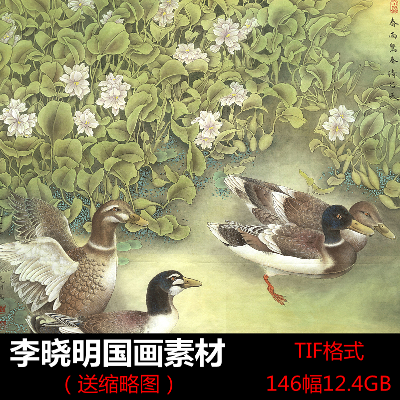 李晓明高清国画大图古风荷花花鸟牡丹学习美术临摹装饰画电子素材