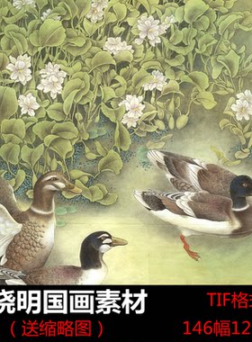 李晓明高清国画大图古风荷花花鸟牡丹学习美术临摹装饰画电子素材