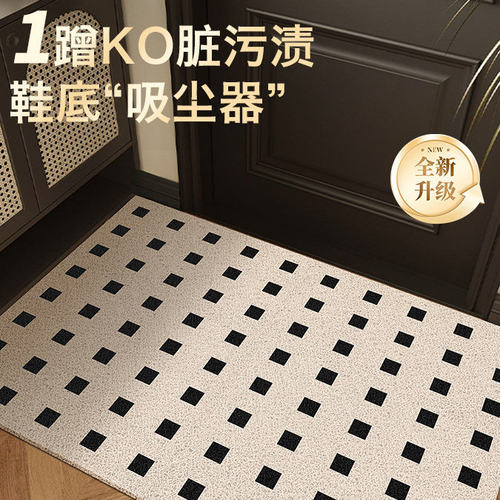 丝圈地垫入户门门口耐脏防滑进门垫子家用免洗玄关脚垫可裁剪地毯