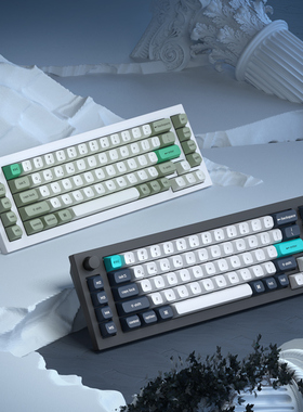 keychron Q65MAX三模蓝牙无线机械键盘65%布局Gasket客制化RGB铝