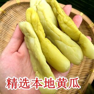 广西黄瓜皮1斤脆嫩新鲜咸菜农家腌制下饭菜灵山博白土特产酸菜