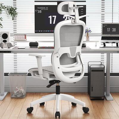Ergonomic chair, reclining and carefree, computer chair, off