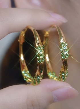 设计感时尚绿色镶钻耳圈女2024新款925银针气质圈圈耳环百搭耳饰