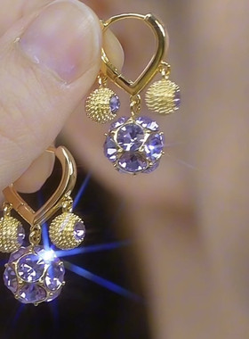 轻奢高级感紫色水晶钻球耳环女2024新款小众设计气质百搭银针耳饰