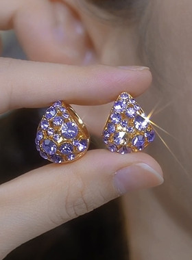 满钻紫色耳环轻奢高级感水晶耳扣2024年新款潮爆款气质百搭耳饰女