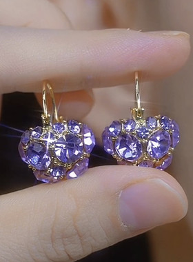 2024新款高级感紫色锆石提篮耳环气质小众设计感精致百搭耳扣耳饰